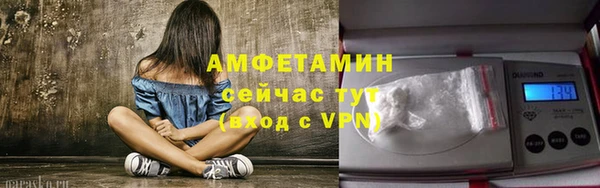 сатива Зеленодольск