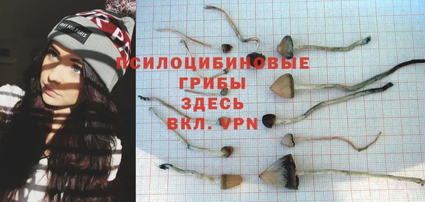 герыч Заволжск